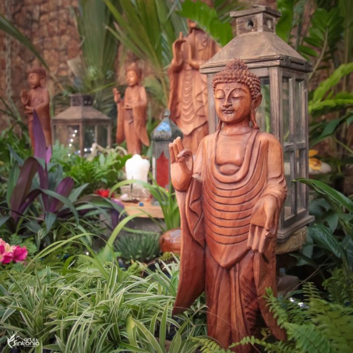 madeira-buddha-estatua-decoração-jnana-mudra