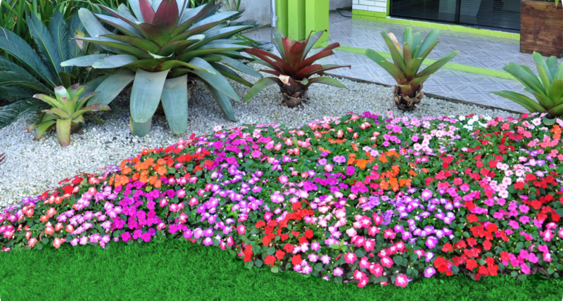 flores-coloridas-equilibrar-energia-jardim-feng-shui